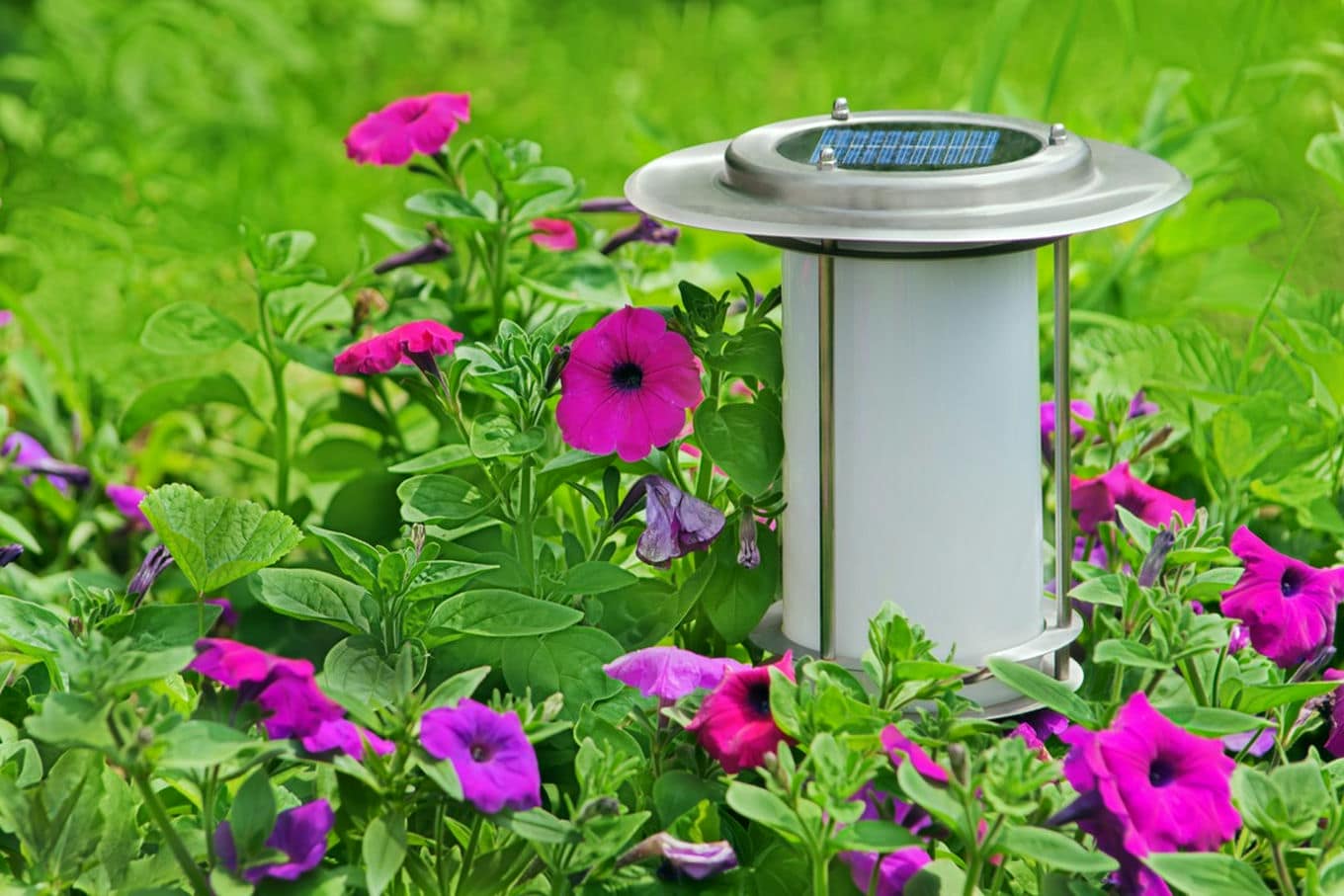 Dlaczego lampy solarne ogrodowe są przyszłością oświetlenia zewnętrznego?
