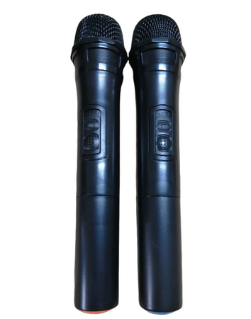 Głośnik kolumna DIGIVOLT 12" Professional AUDIO DG - 2120