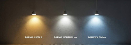 Zestaw 5x LAMPA LED 120 cm BARWA ZIMNA natynkowa oprawa aluminiowa