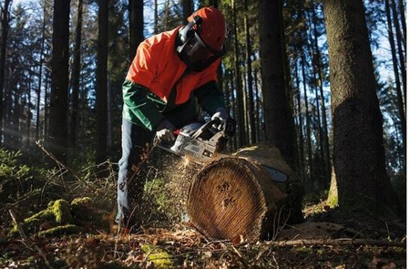 PIŁA SPALINOWA ŁAŃCUCHOWA PILARKA MS-352 MEISTER