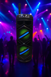   Głośnik Bluetooth Party Speaker RX-8240 – 2×8”, LED RGB, Mikrofon w zestawie!
