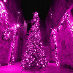 LAMPKI CHOINKOWE 1000 LED RÓŻOWE Z BIAŁYM FLASHEM 60 M